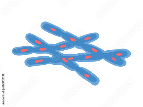 Bacillus Anthracis Virus Illustration