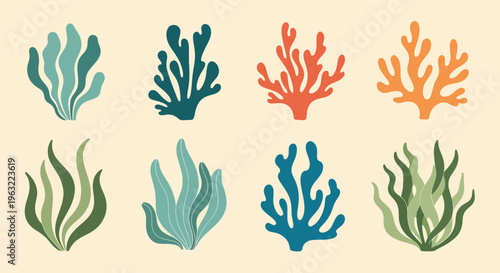 Coral Reef Seaweed Marine Life Underwater Ocean Elements