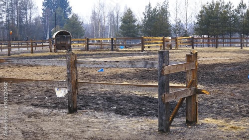 A horse standing in a fenced area with trees in the background