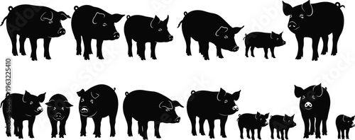 Large Collection of Pig Silhouettes with Black Vector Figures of Swine Hogs and Piglets for Farm Animals Livestock Industry Agriculture and Nature Graphic Design