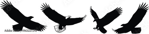 Set of black eagle silhouette vectors featuring flying predatory birds with open wings isolated on white background for wildlife patriotic and nature design projects