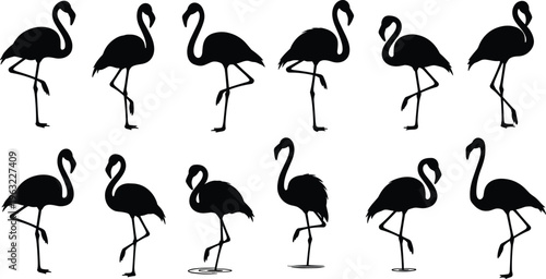 Set of black flamingo silhouette vectors featuring tropical wading birds in various standing and walking poses isolated on white background for summer travel and nature designs