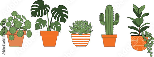 Collection of indoor houseplant vector illustrations featuring monstera deliciosa, cactus, succulent, and pilea peperomioides in orange terracotta pots isolated on a white background.