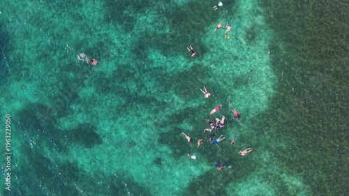 Top Down Aerial View of Snorkelers in Turquoise Water Ko Tao Thailand