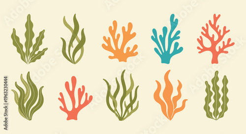 Colorful coral reef elements in various shapes and sizes