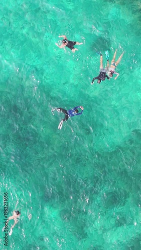 Vertical Top Down Aerial Close-Up of Snorkelers in Turquoise Water Ko Tao Thailand