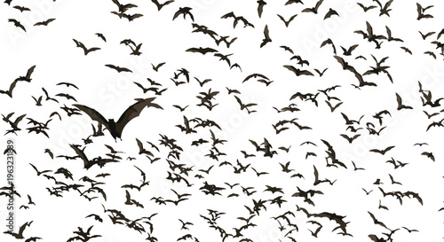 Large flock of birds flying in formation against white sky
