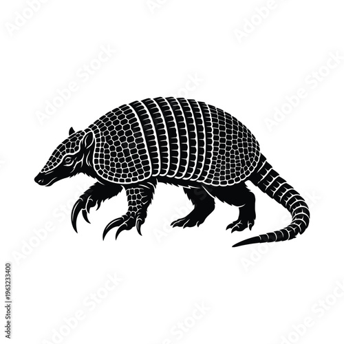 Black and white armadillo with textured shell animal claws