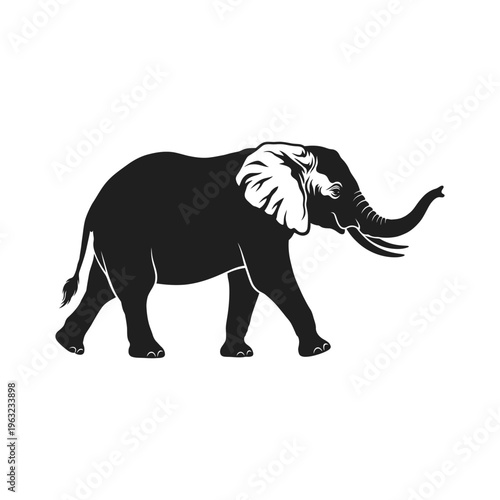 Black elephant walking with raised trunk and white inner ear animal mammal