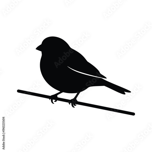 Black bird silhouette perched on branch