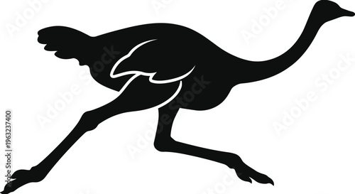 Black silhouette of ostrich running bird white background