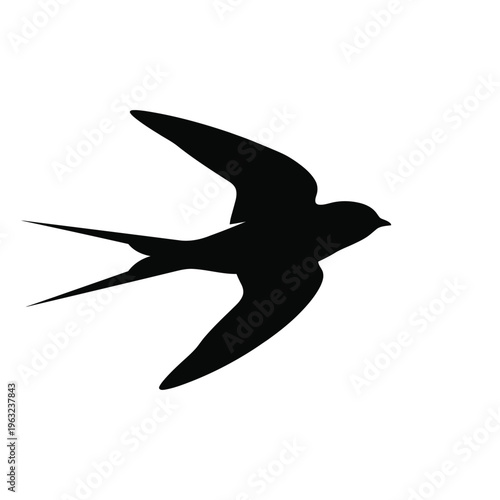 Black silhouette of a bird in flight flying wings spread