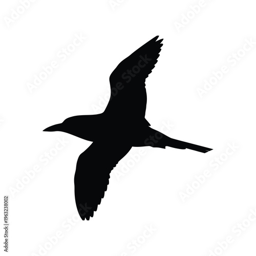 Black bird flying with wings spread on white background silhouette