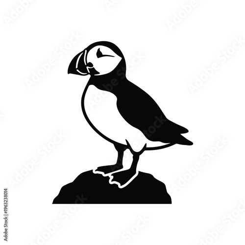 Black and white puffin standing on rock bird silhouette