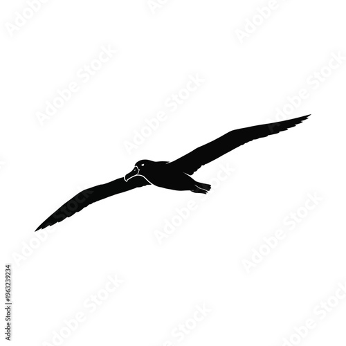 Black bird flying with outstretched wings on white background silhouette wings outstretched