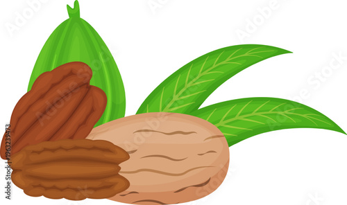 Pecan nuts, whole and shelled with green leaves