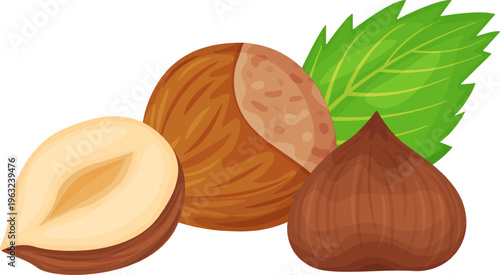 Hazelnuts raw and shelled with green leaf