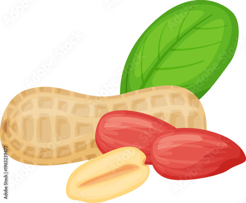 Peanuts with shell and skinned kernels