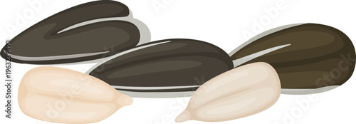 Sunflower seeds showing kernel and striped shell