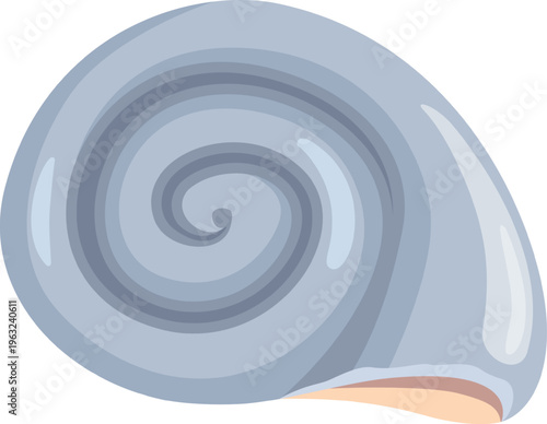 Sea shell gastropod spiral shape vector illustration
