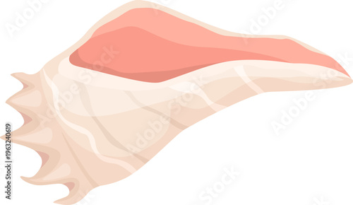 Tropical conch seashell representing summer ocean journey