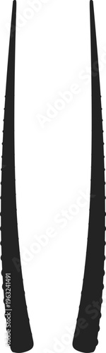 Aloe vera plant leaves silhouette representing natural medicine