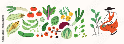 Farm agricultural local food, vegetables roots from farm, local market concept, farmer working. Hand drawn simple doodle illustration. Farming, agriculture or local. Cole, artichoke, corn, eggplant.