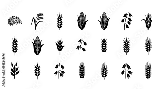 Black Cereal Crop Seamless Pattern Vector with Wheat Rice Corn Oats Rye Barley Icons on White Background