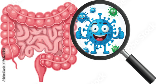 Detailed illustration of human intestines with magnifying glass showing cartoon microbes and bacteria, perfect for medical study, digestive health, anatomy design, and educational artwork projects.