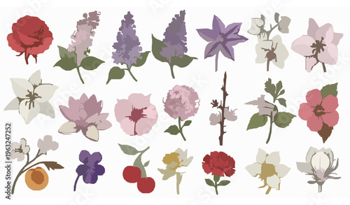 Hand Drawn Flower Collection Vector with Botanical Sketch of Rose Orchid Lily Magnolia and Blossom Set Isolated on White