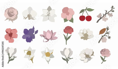 Minimal Hand Drawn Flower Vector Set with Rose Orchid Lily and Magnolia Botanical Elements Isolated on White