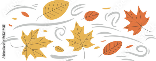 Autumn fall leaves blowing in the wind vector illustration with maple and birch foliage in warm seasonal colors.