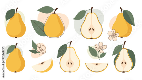 Collection of fresh yellow pears, whole and sliced, with delicate pear blossoms and abstract background shapes, ideal for health-conscious food branding or recipe illustrations.