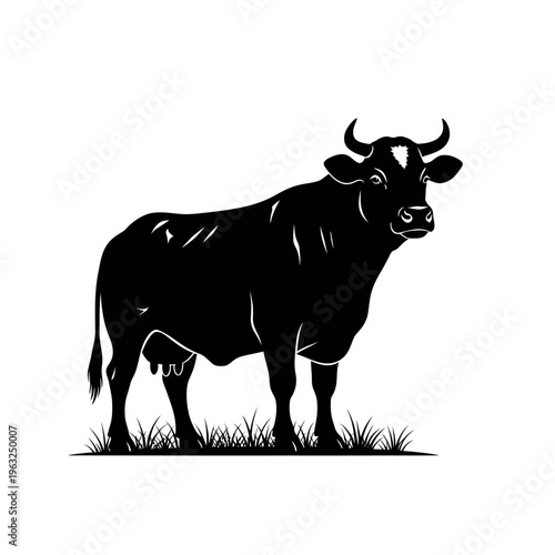 Silhouette of a black cow standing in green grass with horns and udders visible.