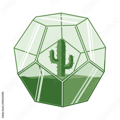 A geometric glass terrarium containing a green cactus plant with soil and water.