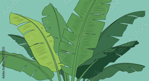 Flat illustration of lush tropical leaves in various shades of green