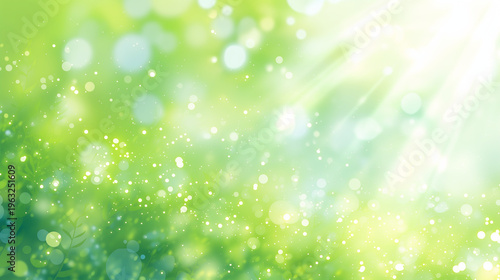 木漏れ日とボケが美しい新緑の抽象的な背景素材