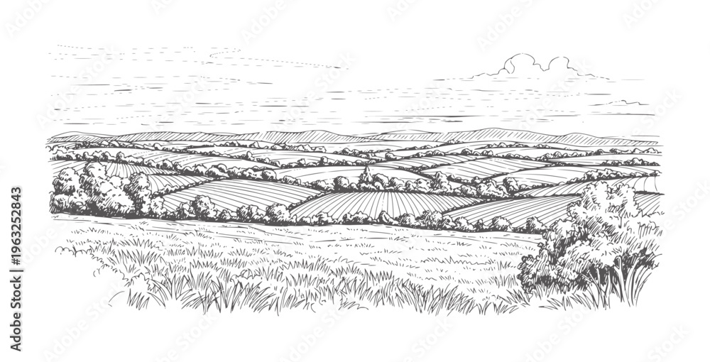 Fototapeta premium Hand drawn of rolling agricultural fields and distant hills under a cloudy sky rural