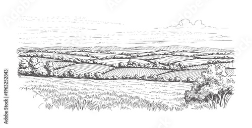 Hand drawn of rolling agricultural fields and distant hills under a cloudy sky rural