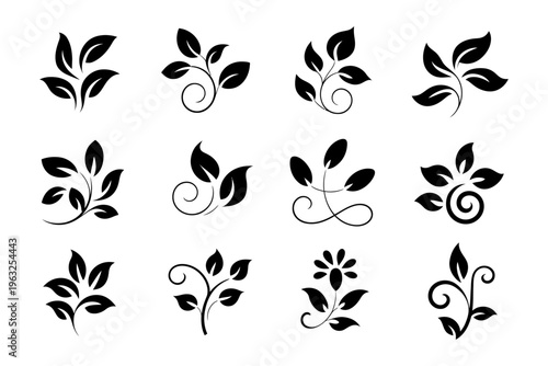 Vector featuring a collection of twelve black decorative floral designs with swirls and leaves