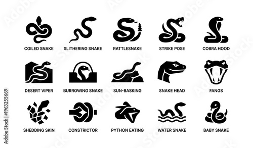 Variety of snake illustrations: different species and behaviors