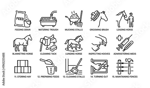Equestrian care icons: feeding, grooming, and health tasks illustrated