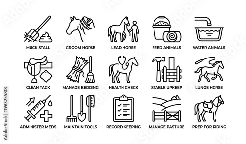 Horse care icons set with line art illustrations of stable activities