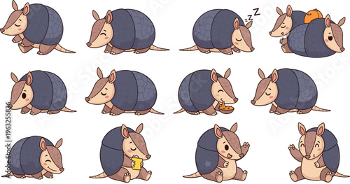 Cute Armadillo Cartoon Character Illustration Set with Sleeping, Eating, Sitting, Walking, and Different Poses Animal Vector Collection