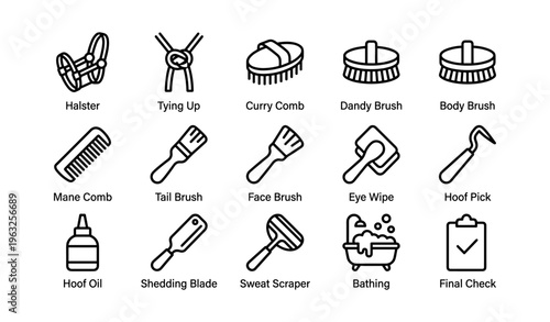 Horse grooming equipment icons: halter, brushes, combs, hoof tools, bathing
