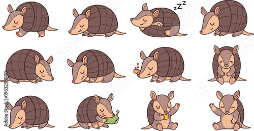 Cute Armadillo Cartoon Character Set with Sleeping, Walking, Eating, Sitting, and Different Poses Animal Vector Illustration Collection