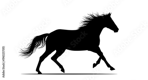 Black Horse Silhouette Running Free.