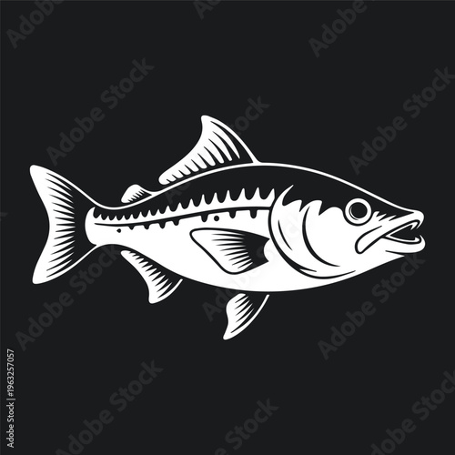 Detailed Snook fish illustration, white vector art on a black background