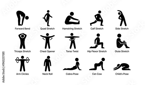 Illustrated guide to basic stretching exercises for all ages and fitness levels