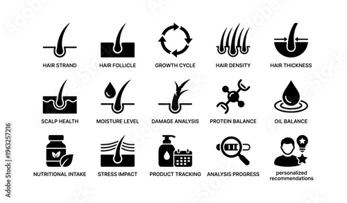 Hair care infographic: follicle health, moisture balance, nutrition, and stress impact